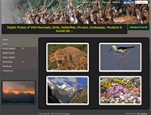 Tablet Screenshot of indianwildlifephotos.com